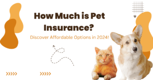 Pet Insurance